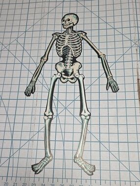 Skeleton Jointed Die Cut,  Beistle, VTG 21.7" X 6.5" , One-sided